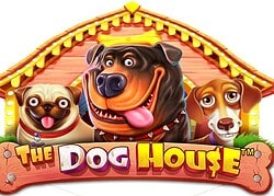 Dog House Seven Casino Game